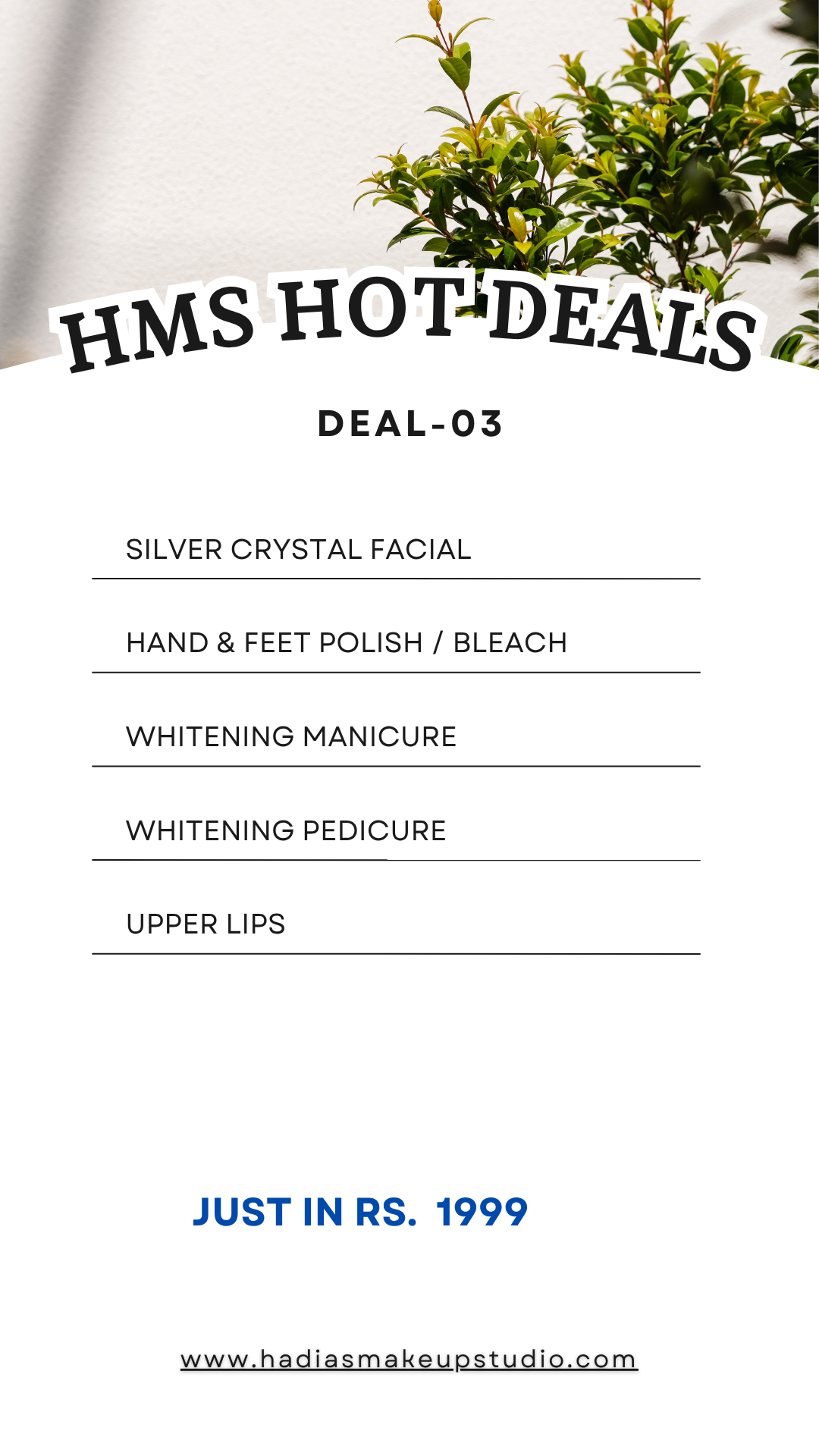 Deal 2